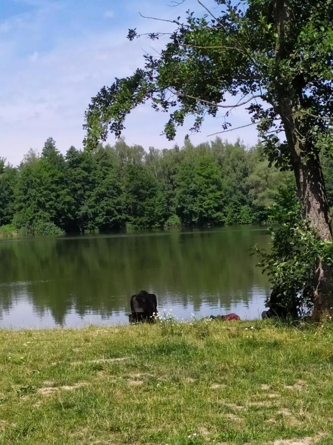 Podkrovni Apartman V Prirode, Vhodny K Relaxaci I Na Sluzebni Cesty Apartment Cerna u Bohdance Exterior foto